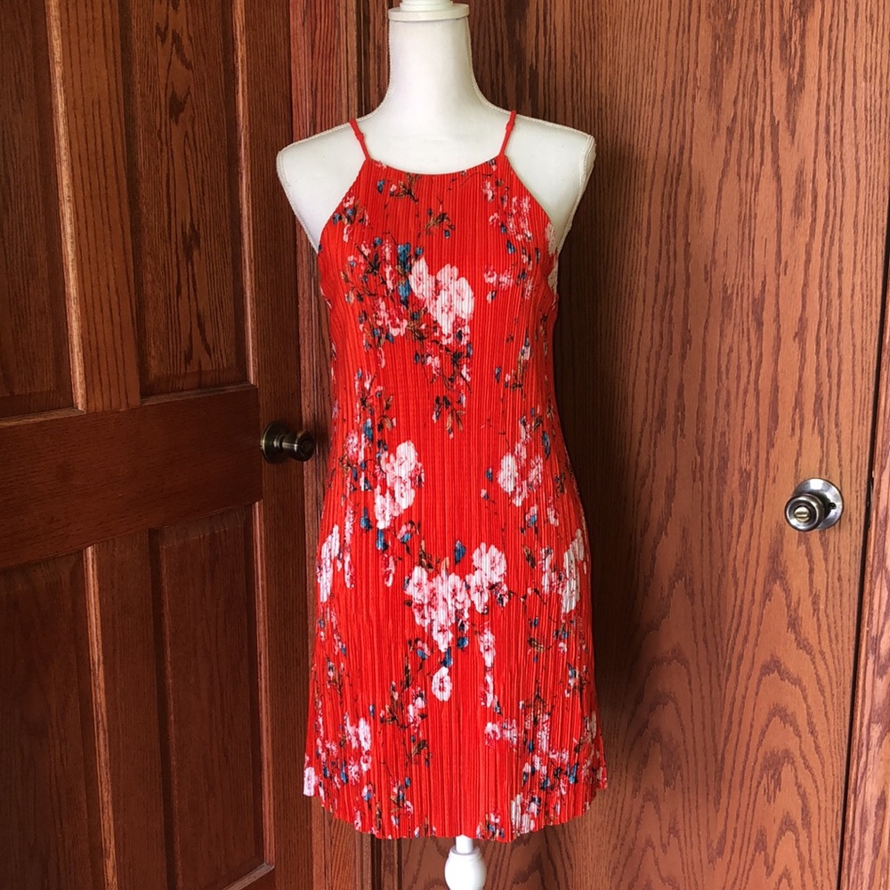 Collective Concepts Pleated Dress